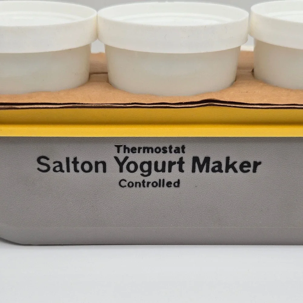 Salton vintage thermostat